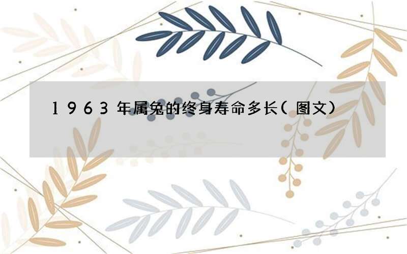 1963年属兔的终身寿命多长(图文)