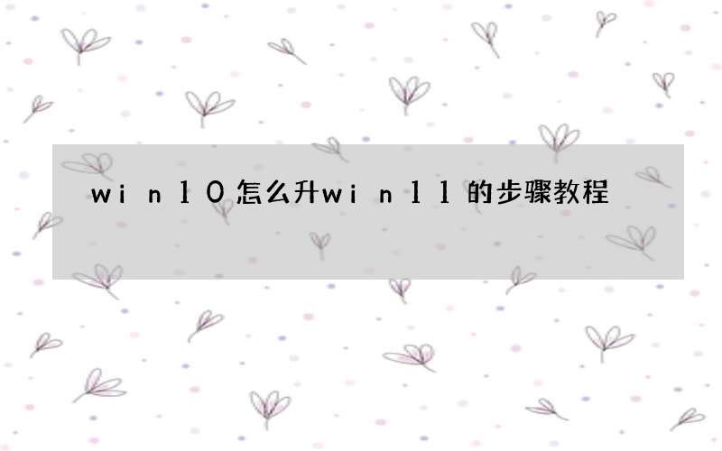 win10怎么升win11的步骤教程