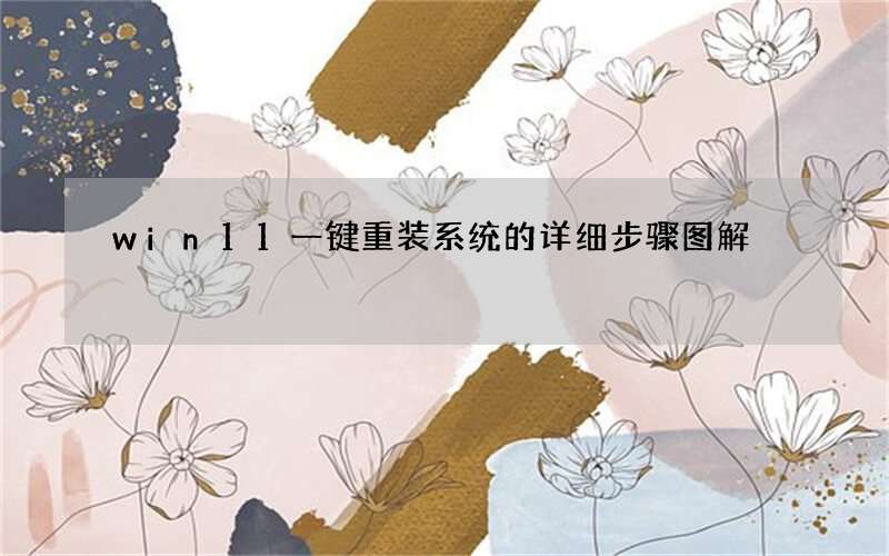 win11一键重装系统的详细步骤图解