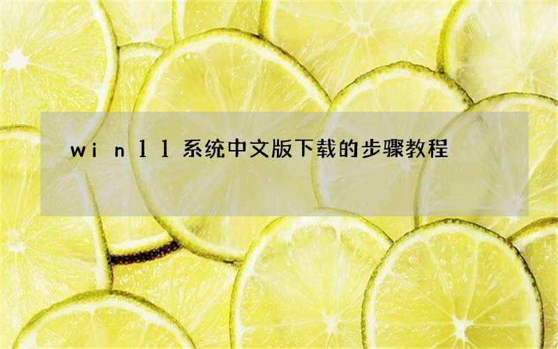 win11系统中文版下载的步骤教程