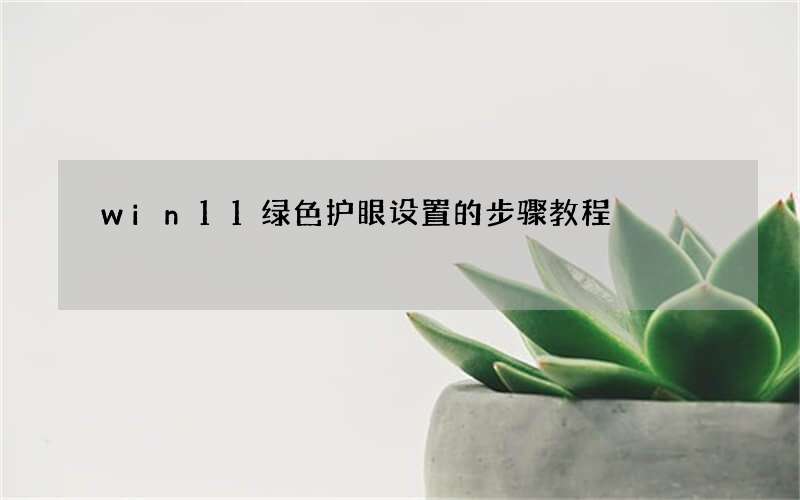 win11绿色护眼设置的步骤教程