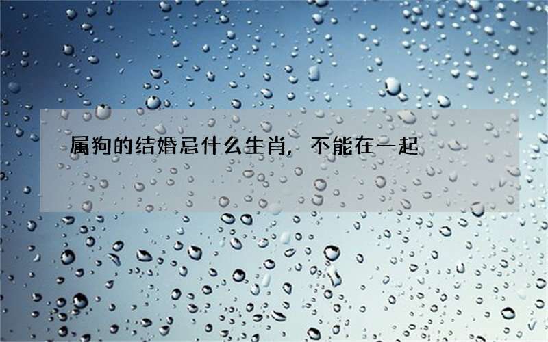 属狗的结婚忌什么生肖,不能在一起