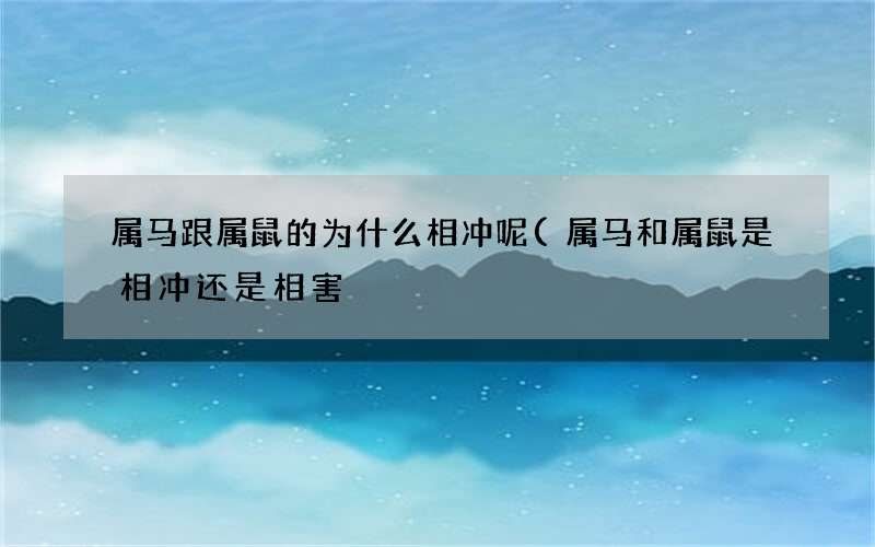 属马跟属鼠的为什么相冲呢(属马和属鼠是相冲还是相害)