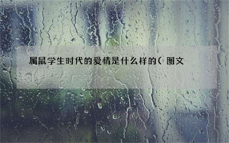 属鼠学生时代的爱情是什么样的(图文)