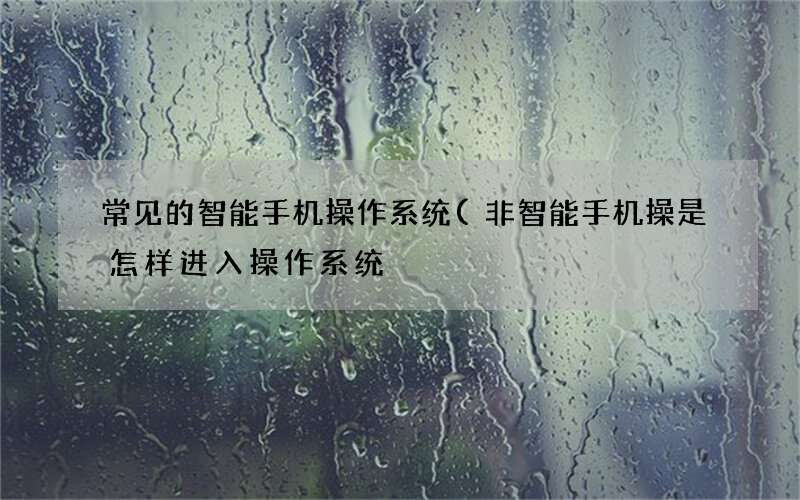 常见的智能手机操作系统(非智能手机操是怎样进入操作系统)