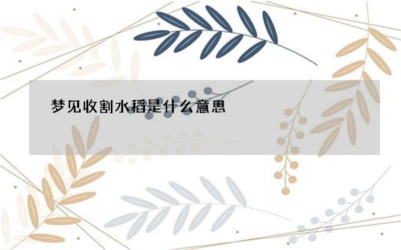 梦见收割水稻是什么意思