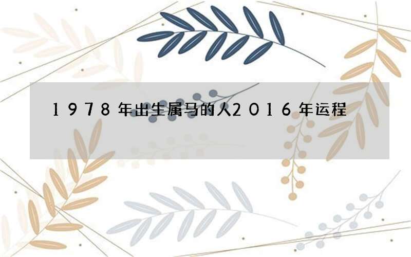 1978年出生属马的人2016年运程