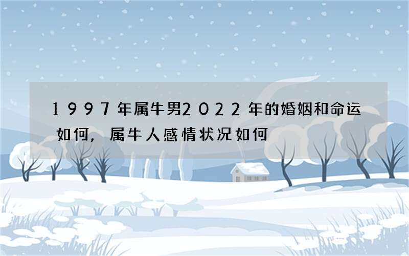 1997年属牛男2022年的婚姻和命运如何,属牛人感情状况如何
