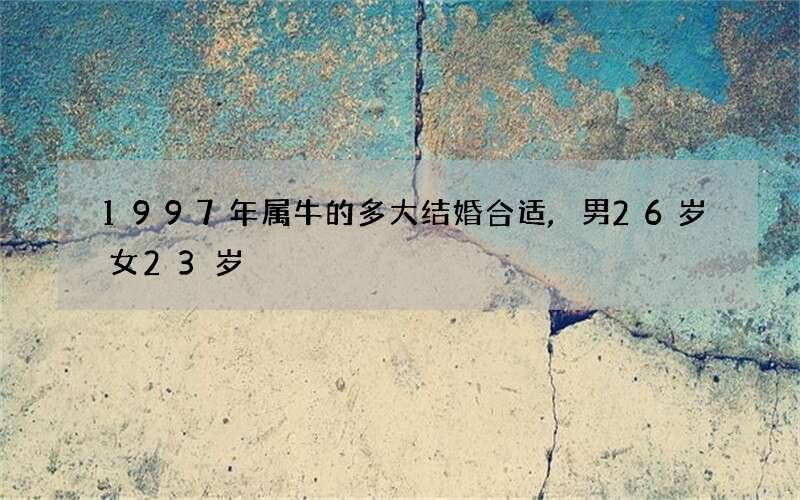 1997年属牛的多大结婚合适,男26岁女23岁