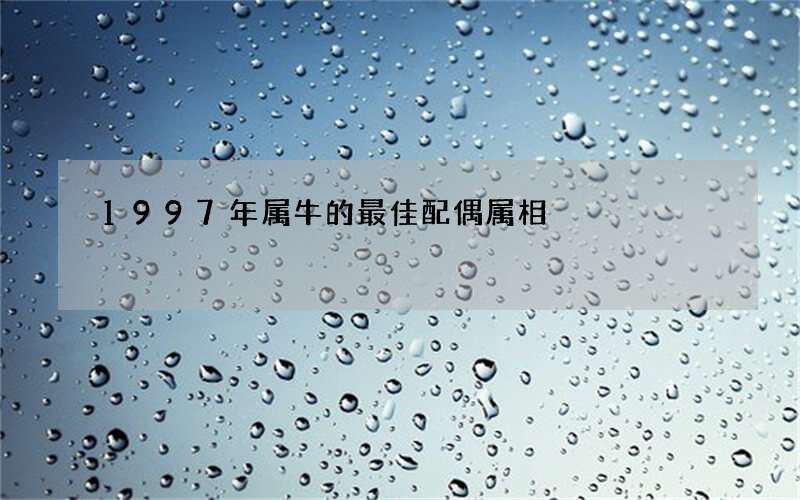 1997年属牛的最佳配偶属相