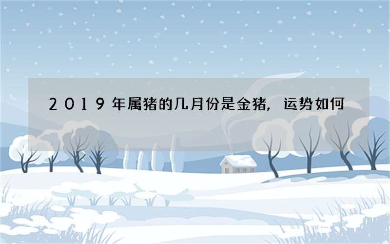 2019年属猪的几月份是金猪,运势如何