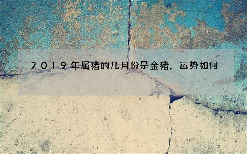 2019年属猪的几月份是金猪，运势如何