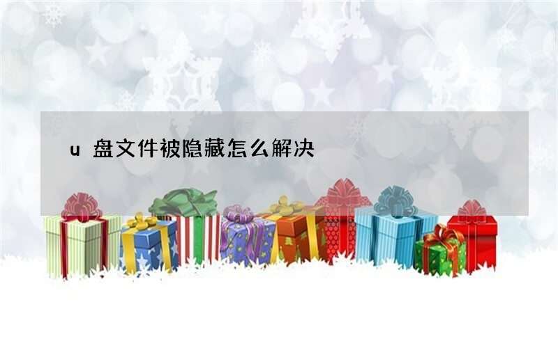 u盘文件被隐藏怎么解决