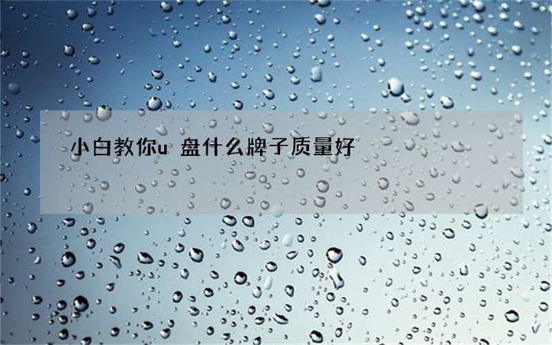 小白教你u盘什么牌子质量好