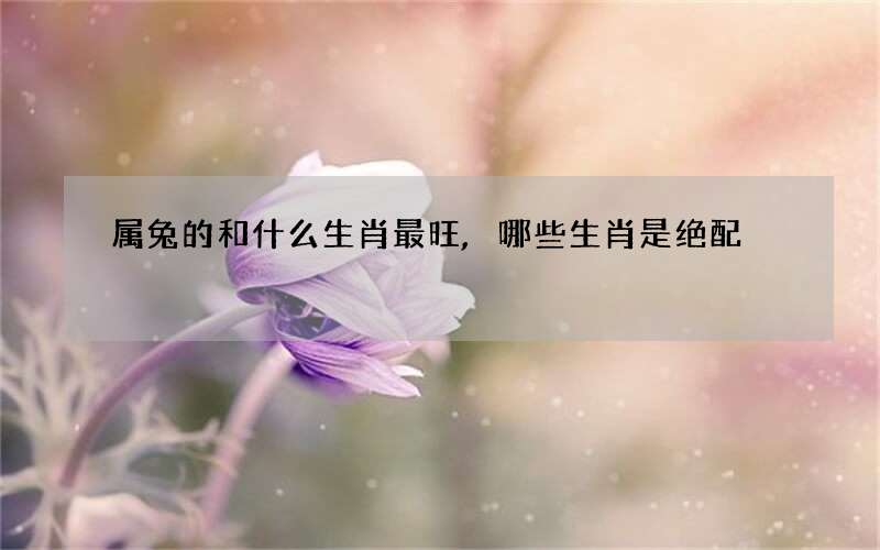 属兔的和什么生肖最旺,哪些生肖是绝配