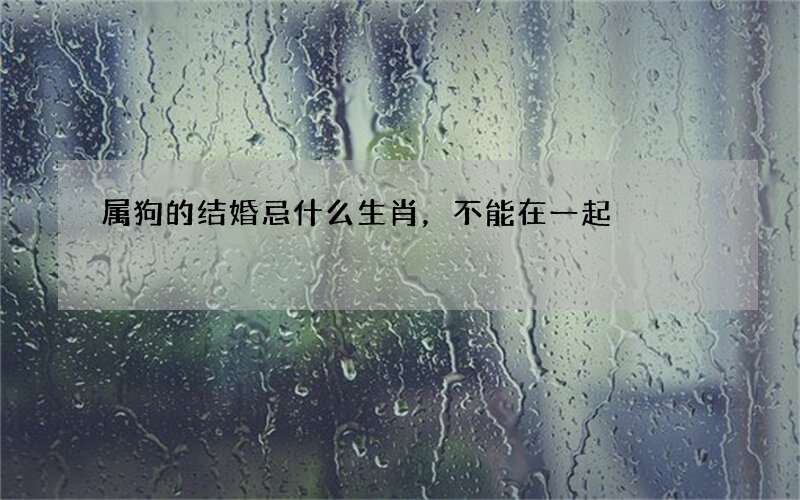 属狗的结婚忌什么生肖，不能在一起