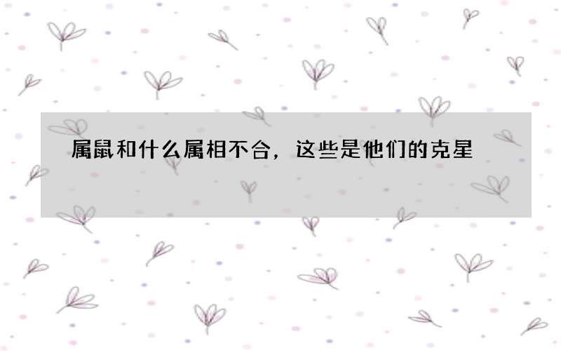 属鼠和什么属相不合，这些是他们的克星