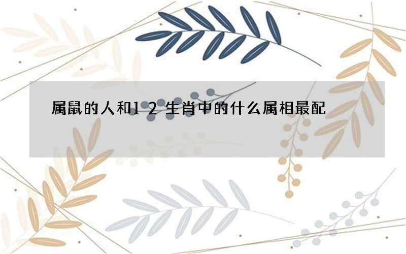 属鼠的人和12生肖中的什么属相最配?