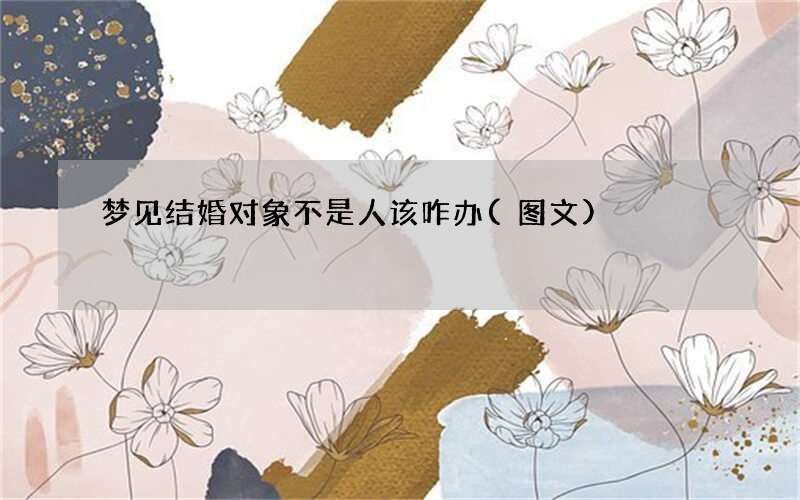 梦见结婚对象不是人该咋办